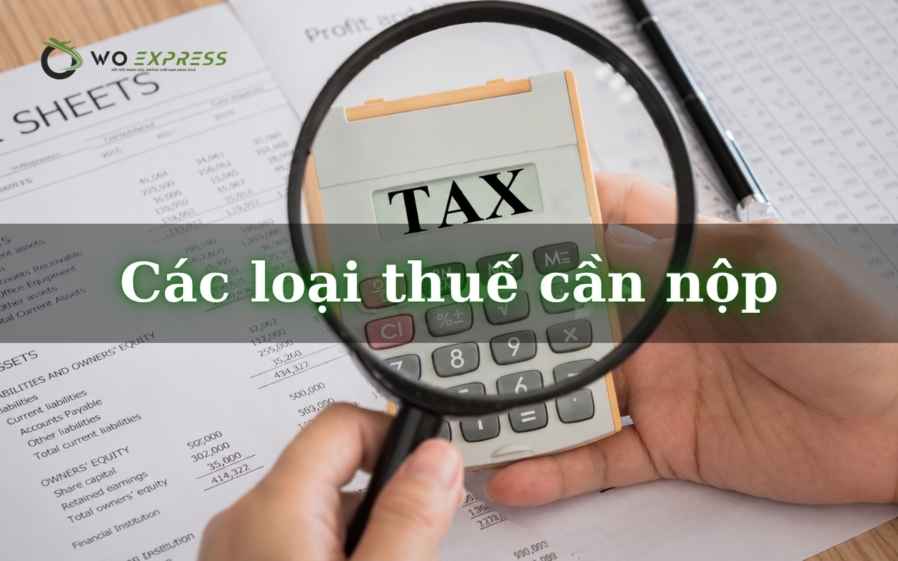 Thuế nhập khẩu sâm Hàn Quốc mới nhất và thủ tục cần biết 3 Các loại thuế cần nộp khi nhập khẩu hàng hóa