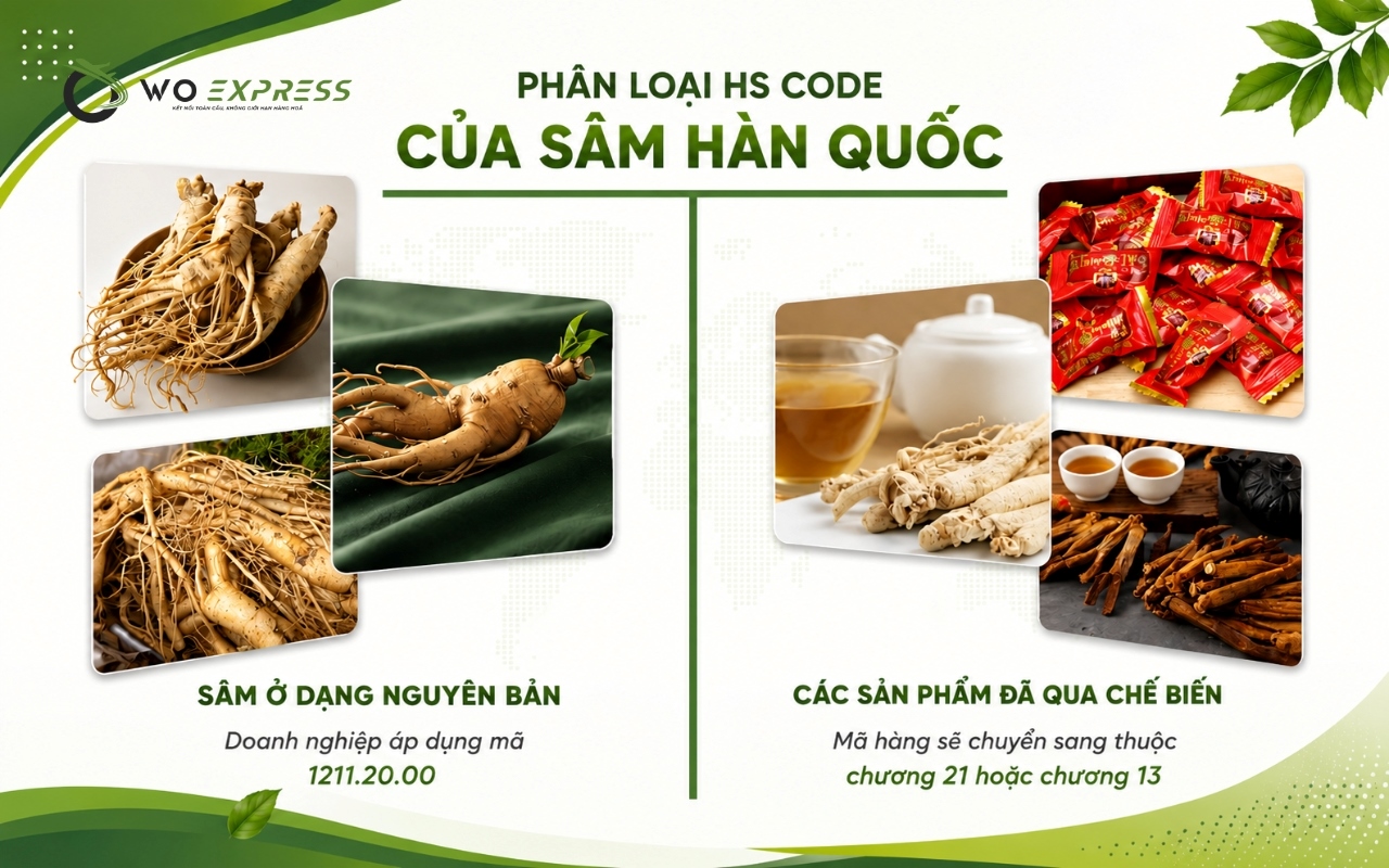 Thuế nhập khẩu sâm Hàn Quốc mới nhất và thủ tục cần biết 2 Phân loại mã HS của sâm Hàn Quốc
