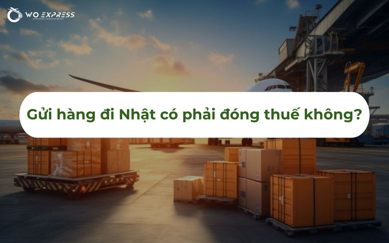 Thuế nhập khẩu Nhật Bản 2026: Cập nhật mức thuế mới nhất 5 Gửi hàng đi Nhật có phải đóng thuế không?