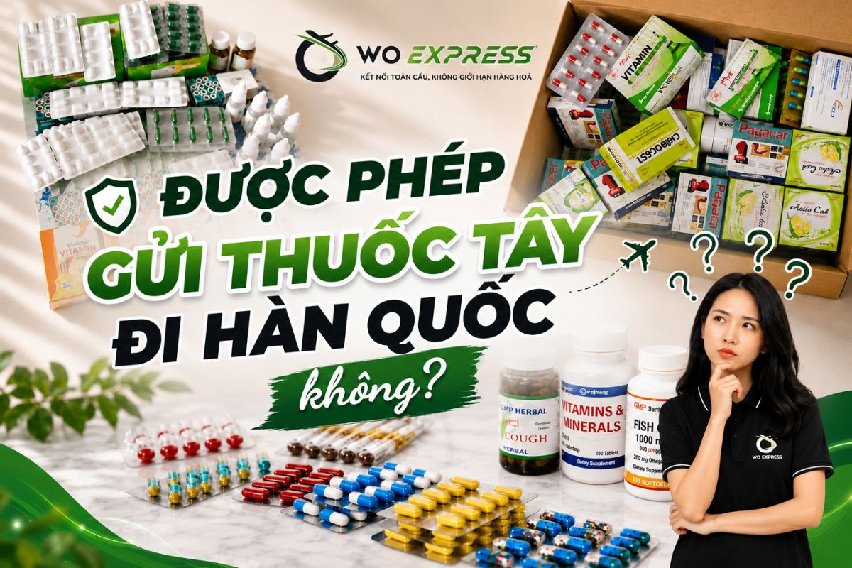 Gửi thuốc tây đi Hàn Quốc giá rẻ, nhanh chóng, an toàn 100% 2 Được phép gửi thuốc tây đi Hàn Quốc không?