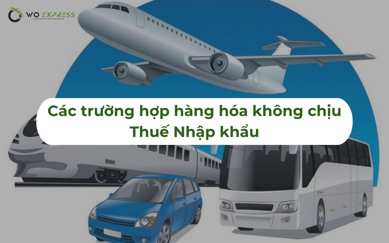 Các mặt hàng chịu thuế nhập khẩu mới nhất và cách xác định 2026 10 Các trường hợp hàng hóa không chịu Thuế Nhập khẩu