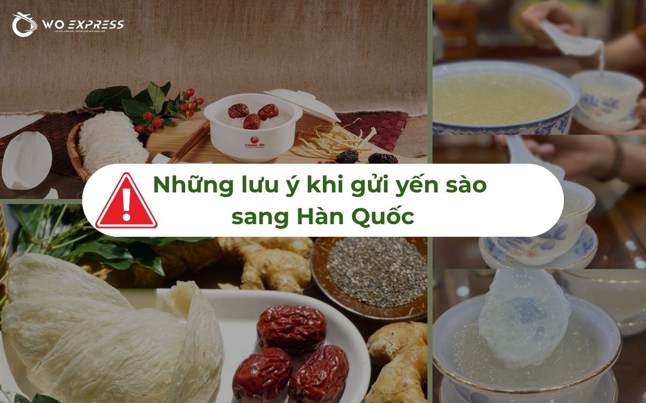 Gửi yến sào đi Hàn Quốc giá rẻ, nhanh chóng an toàn 100% 4 Những lưu ý khi gửi yến sào sang Hàn Quốc