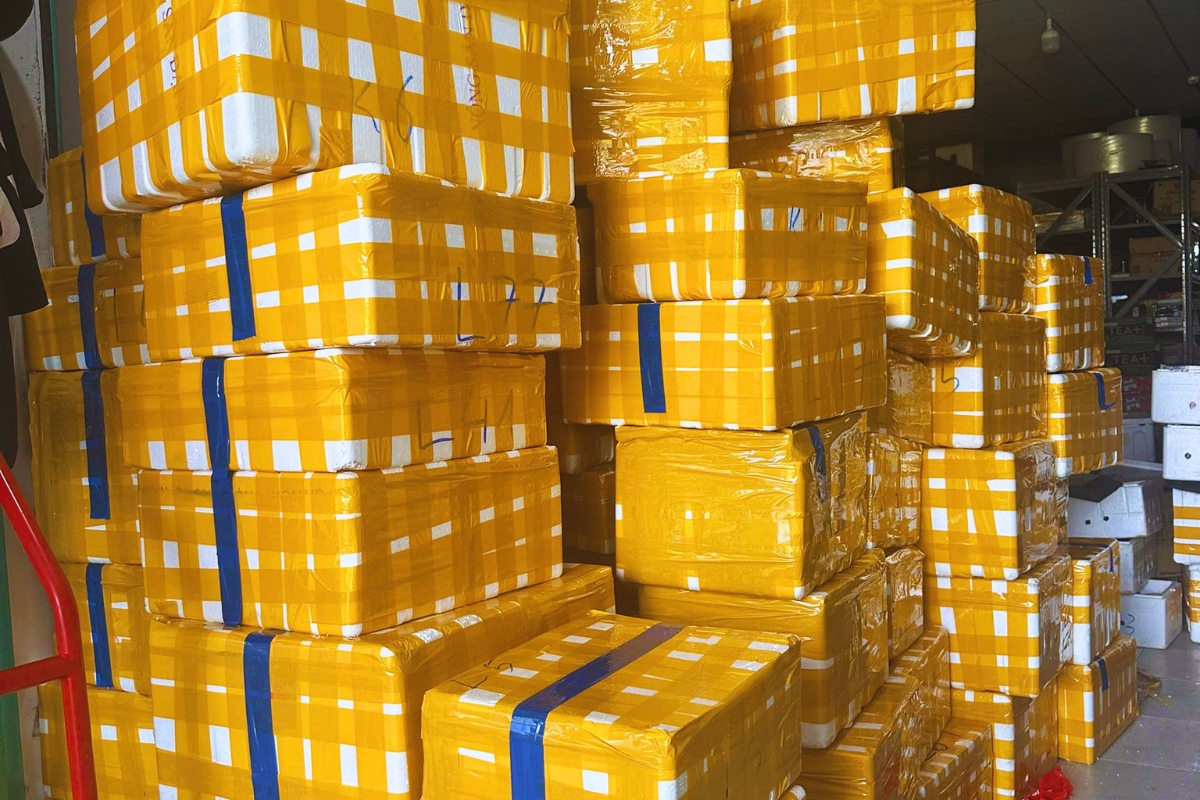 woexpress van chuyen hang hoa quoc te 1