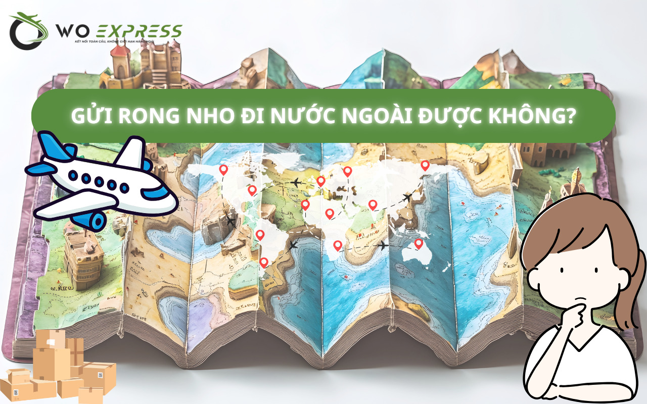 Giải đáp gửi rong nho đi nước ngoài được không và những lưu ý quan trọng