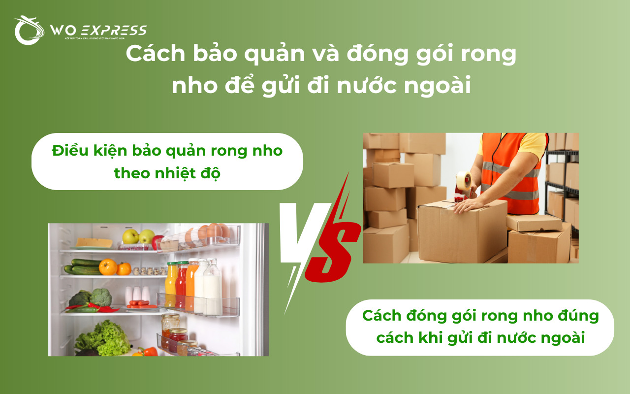 Gửi rong nho đi nước ngoài được không và cách bảo quản, đóng gói đúng chuẩn 
