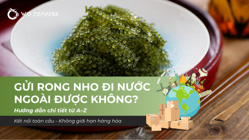 Gửi rong nho đi nước ngoài được không – WoExpress tư vấn và hỗ trợ vận chuyển an toàn