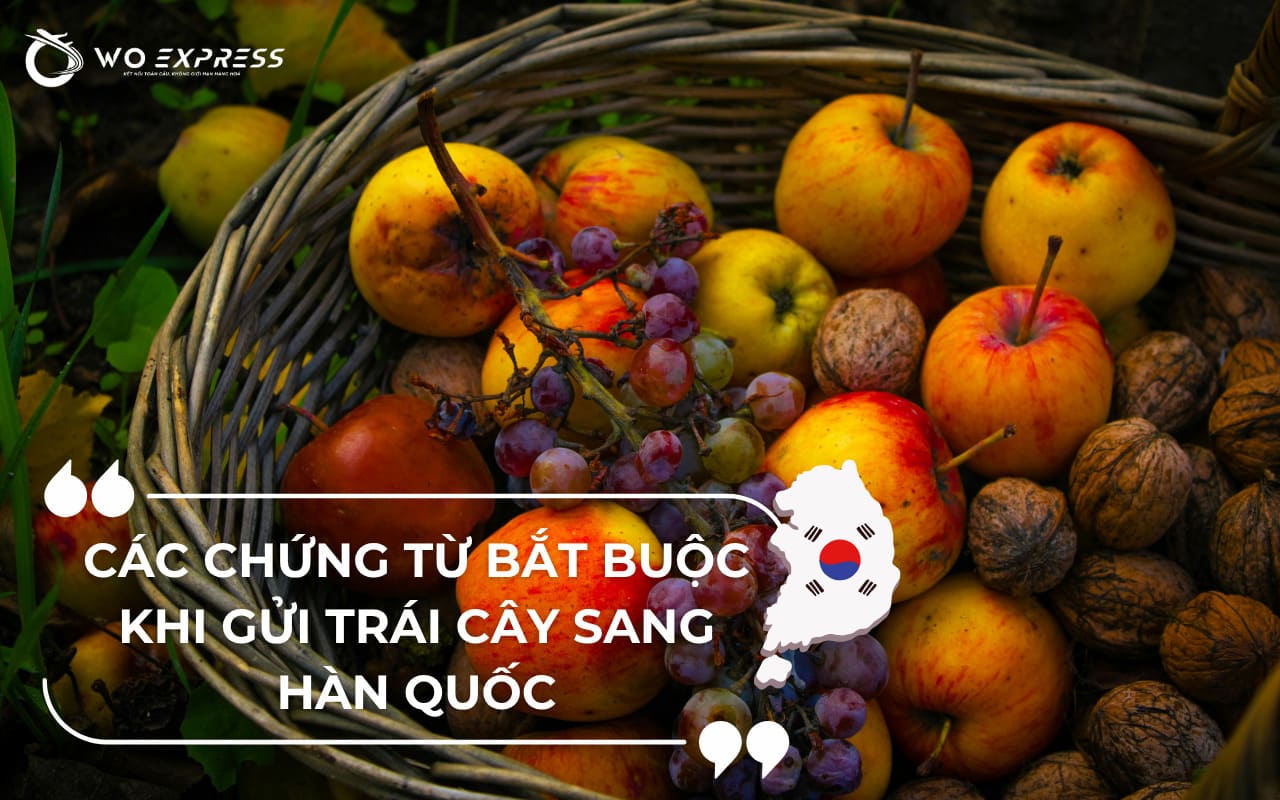 Gửi trái cây đi Hàn: Dịch vụ uy tín, giá rẻ tại WoExpress 3 Bộ hồ sơ và chứng từ kiểm dịch cần thiết khi gửi trái cây đi Hàn