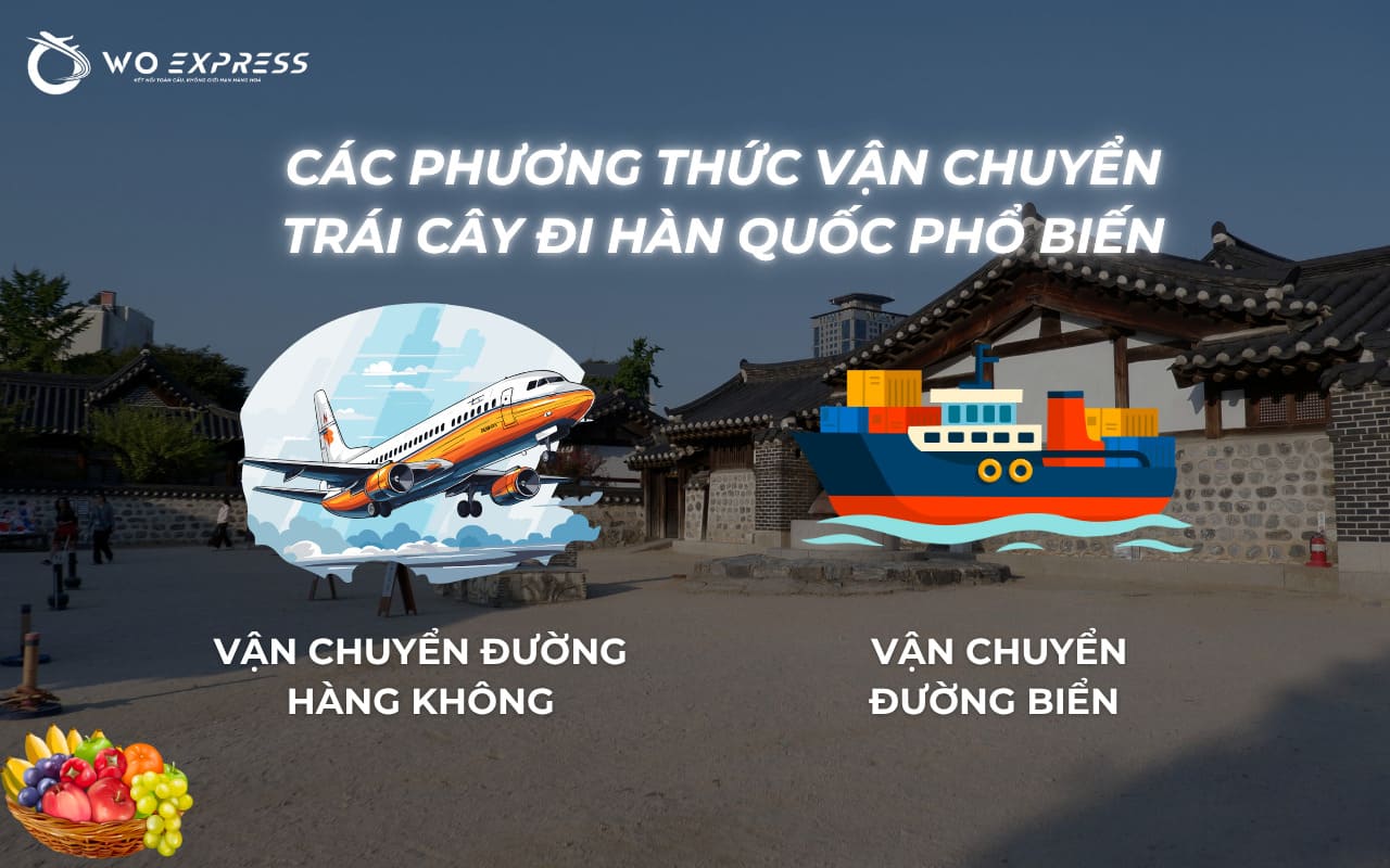 Gửi trái cây đi Hàn: Dịch vụ uy tín, giá rẻ tại WoExpress 4 Gửi trái cây đi Hàn bằng đường hàng không và đường biển