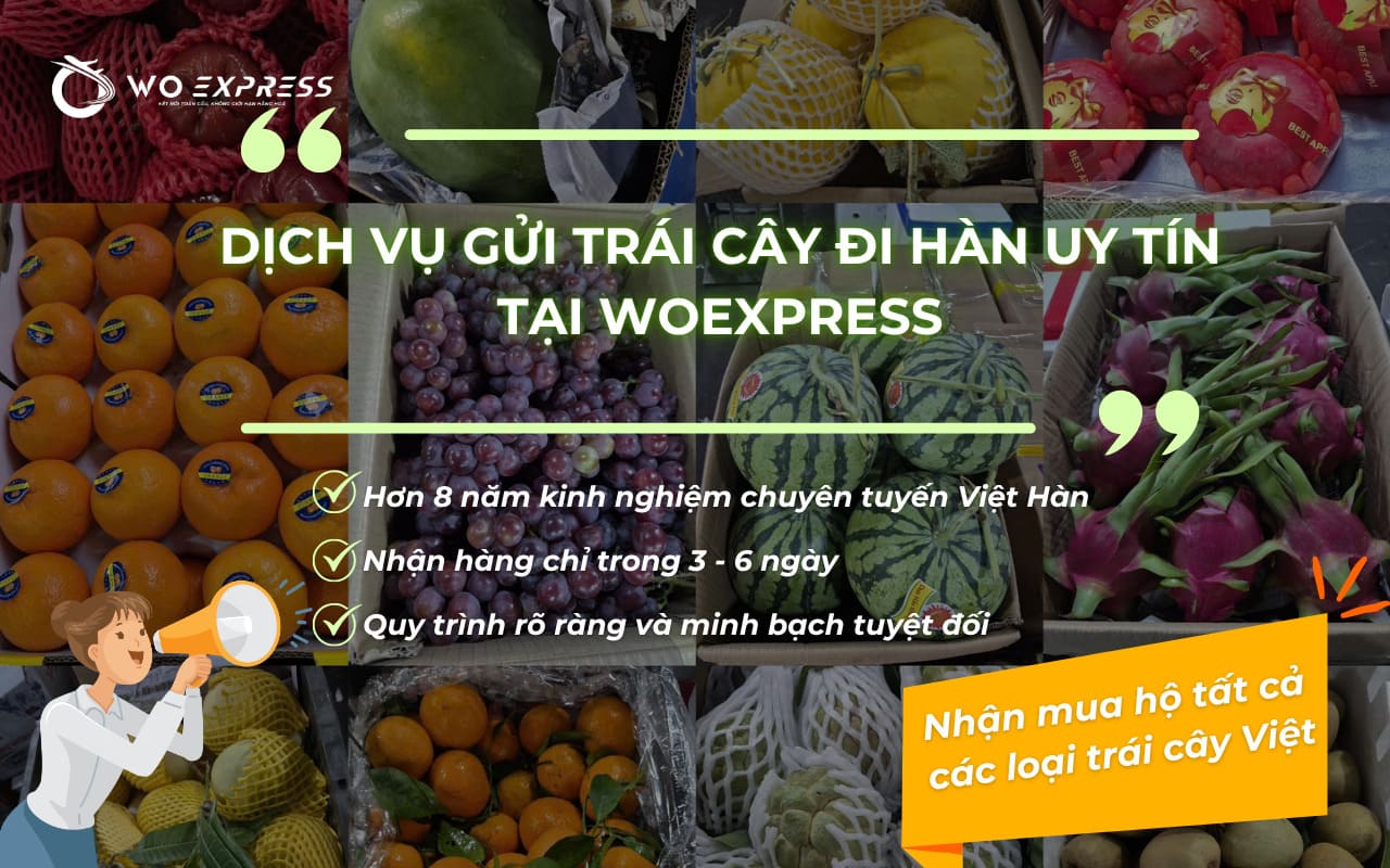 Gửi trái cây đi Hàn: Dịch vụ uy tín, giá rẻ tại WoExpress 7 Dịch vụ mua hộ và gửi trái cây đi Hàn trọn gói