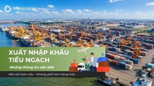 Xuất nhập khẩu tiểu ngạch 
