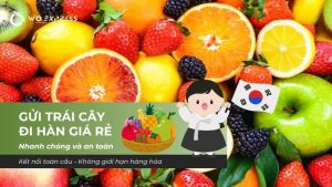 Gửi trái cây đi Hàn giá rẻ