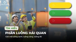 Tổng quan về phân luồng hải quan