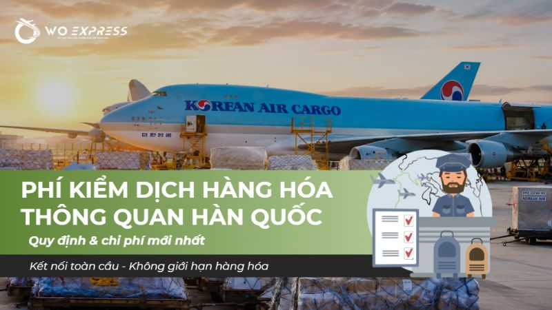 Phí kiểm dịch hàng hóa thông quan Hàn Quốc Quy định & chi phí mới nhất